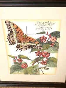 lot 47 image: Framed Butterfly PrintPicture