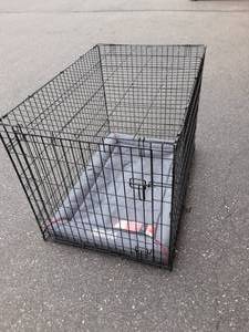 lot 20 image: Large Pet KennelCrate With Kong Crate Mat (Damaged) 43x29x30