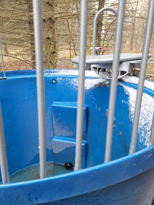 lot 86 image: Dunk Tank