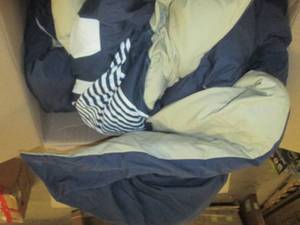 izod comforter...