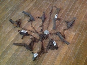 lot 16 image: 10 Traps