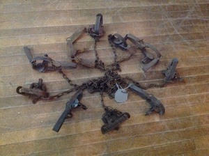 lot 20 image: 10 Traps