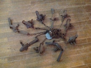 lot 21 image: 10 Traps