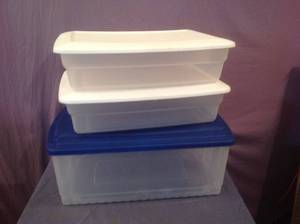 lot 81 image: 3 Totes with Lids