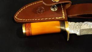Colored Bone Handled Damascus Knife