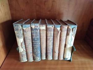 Collection Of Old Shakespeare Books
