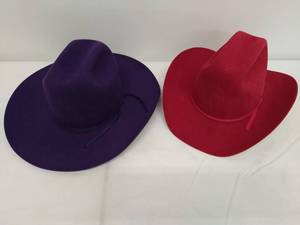 lot 24 image: Two American Hat Co. Cowgirl Hats