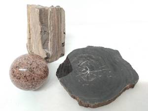 lot 115 image: Petrified Wood And Stones