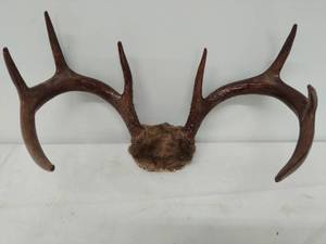 lot 129 image: Antler Mount