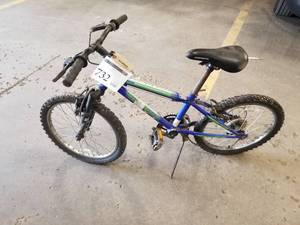 lot 732 image: Granite Peak Roadmaster Kids 15 Mountain Bike with 12 BlueGreen Frame