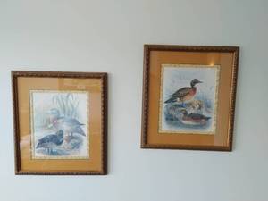 lot 182 image: Two Framed Duck Prints
