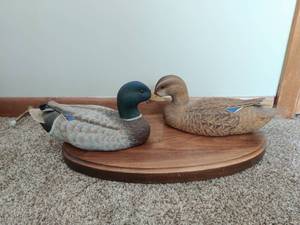 lot 197 image: Two Mallard Ducks