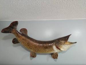 lot 250 image: Mounted Northern Pike