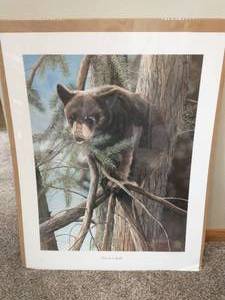 lot 135 image: Signed Kevin T Daniel Out on a Limb Print