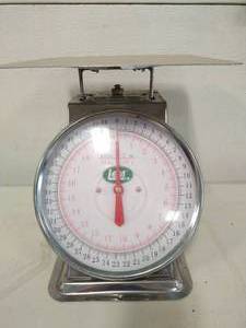 lot 34 image: LEM Scale
