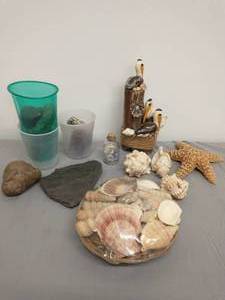 Assorted Seashells and Shore-Themed Dcor