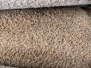 lot 758 image: 12 x 14 (168 Sq Ft) Plush Carpet