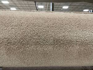 lot 764 image: 12 x 216 (258 Sq Ft) Masland Embrace Anzac Carpet