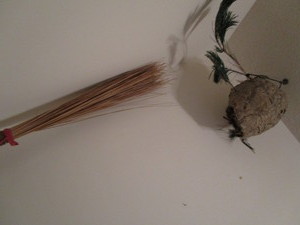 lot 96 image: Cocoyea broom from coconut leaf ste...