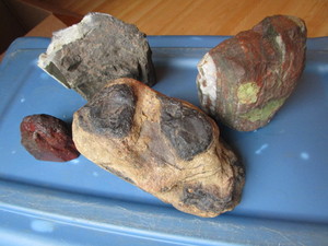 lot 116 image: Rocks with petrified...