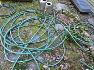 lot 426 image: Hose, watering cans...