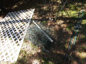 lot 431 image: Tomato cages qty 8, garden posts, p...