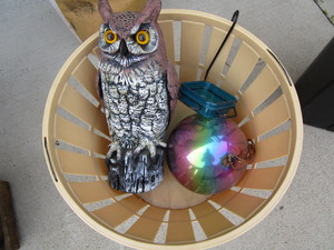 lot 461 image: Owl decoy, hanging gazing globe app...