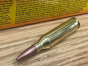 lot 20 image: (20) Rouds Federal Fusion .243-Win 95grain Bonded SP