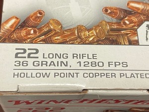 lot 44 image: (222) Rounds Winchester .22LR 36grain HP