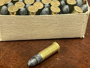 lot 49 image: (100) Rounds Remington Thunderbolt .22LR