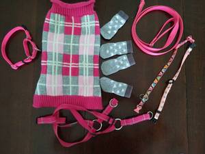 Small Dog Lot