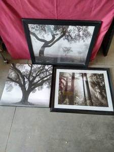 Classy Black & White Tree Art