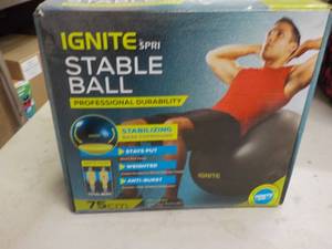lot 23 image: Ignite SPRI stable ball...