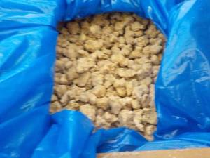lot 331 image: 40 lb. Box Frozen Pork Sausage Crum...