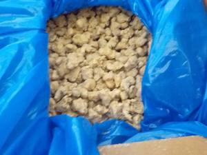lot 332 image: 40 lb. Box Frozen Pork Sausage Crum...