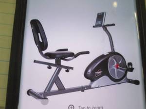 lot 134 image: body flex body champ magnetic recum...