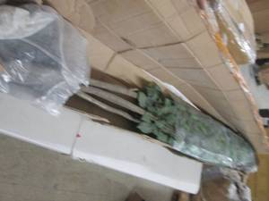 lot 158 image: 64 inch fake tree pot is broken ...