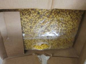 lot 294 image: big box of bulk macaroni ...