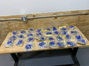 KANGAROO Lot of 30-  ENPlus ePump Proximal Spike Pump Set & Flush Bag - 1000 mL