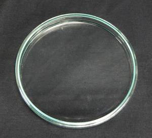 lot 279 image: Case of 12 Mercer Glass Works Anumbra 150 x 15 MM Glass Petri Dishes With Covers