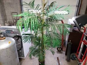 lot 32 image: Faux Palm Tree