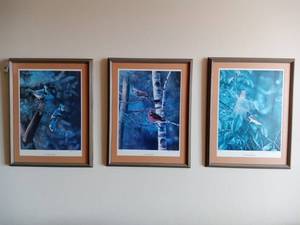 lot 40 image: Custom Framed Birds Kevin T. Daniel Prints signed by The Artist
