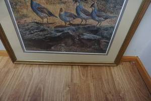 lot 112 image: Framed Quail Themed Print