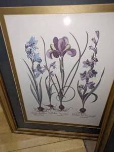 lot 130 image: Pretty Pair of Framed Orchid Prints