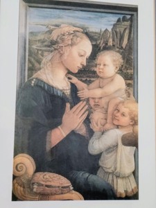 Gold Framed Print