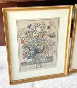Pair of BotanicalFloral Vintage Prints