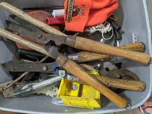 lot 257 image: Mystery Lot Pruning Shears, Bristle Brushes, Basketball, etc.