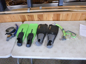 lot 58 image: 2 Pair of Swimming Fins