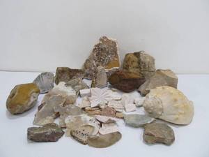 lot 301 image: Lot of Assorted Rock Chunks Minerals Petrified Wood etc