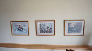 lot 82 image: 3 Framed Wildlife Pictures